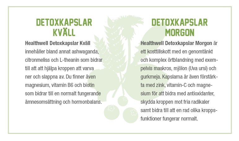 Information om vad morgon- och kvllskapslarna innehller och gr. 